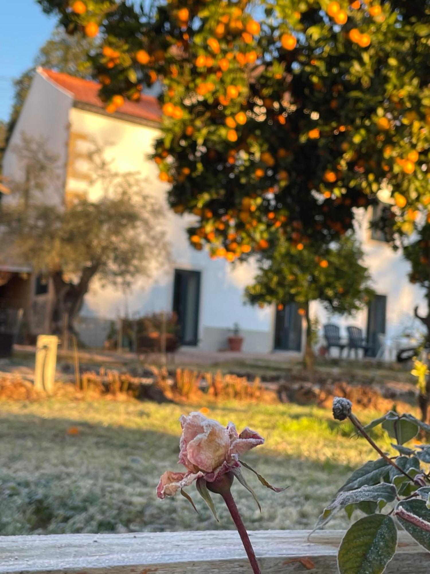 ホテル Casa Do Prado トマール エクステリア 写真